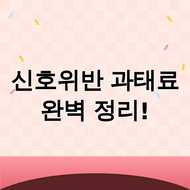 신호위반 과태료